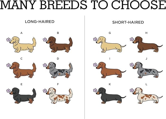 Personalized Embroidered Dachshund Quarter Zip Sweatshirt with Dog Name on Sleeve, Crewneck Sweatshirt, Wiener Dog Gift, Dachshunds Sweater for Women thumbnail 7