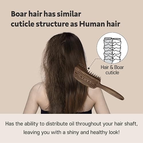 Yao Boar Bristle Hair Brush - Ventilated Thick & Curly Hair Detangler for Women & Kids, Shiny & Textured Hair thumbnail 7