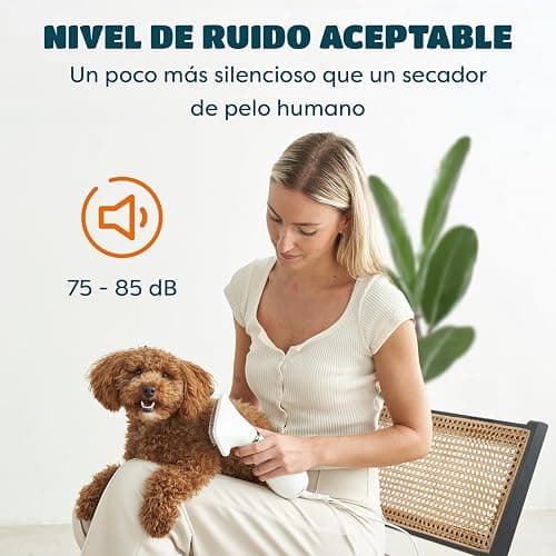 Secador de Pelo para Mascotas | Secador de Pelo Portátil y Silencioso 2 en 1 con un Cepillo Práctico | Temperatura Ajustable | para Perros y Gatos Pequeños y Medianos thumbnail 4