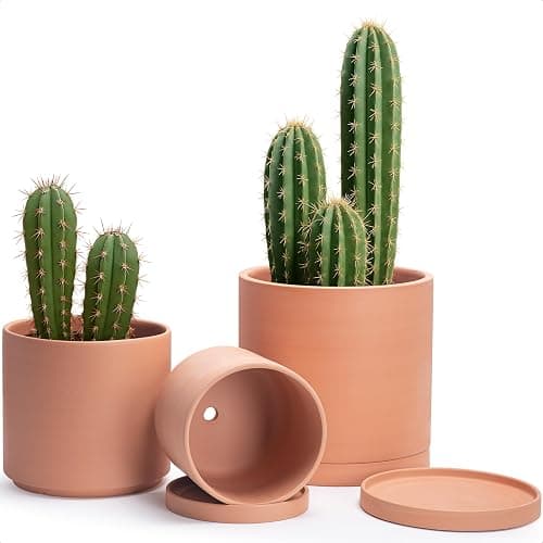 D'vine Dev Terracotta Pots for Plants, 8.3 Inch 10 Inch 12 Inch, Round Cylinder Planter Pot with Drainage and Saucer, 40-T-D-0 - Image 1