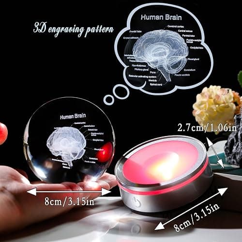 3D Human Brain 3.15 in. Crystal Ball Gifts for Him Her, Human Brain Anatomical Mini Model with Colorful Light Base for Neurologist Doctor Pharmacist, Physiology Graduation Gifts for Medical Students thumbnail 5