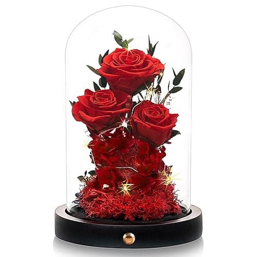 Agrul Flowers Roses Gifts for Mom,Forever Real Preserved Roses in Glass Dome,Mothers Day for Wife Girlfriend Women Best Friend Grandma/Red Rose - Red
