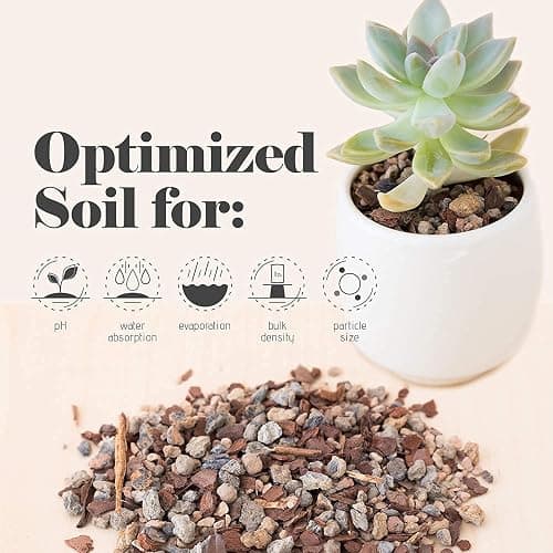 Bonsai Jack Succulent, Cactus and Bonsai Soil - Jacks Gritty Mix - 2 Gallons – Fast Draining – Fight Root Rot – Optimized pH thumbnail 2