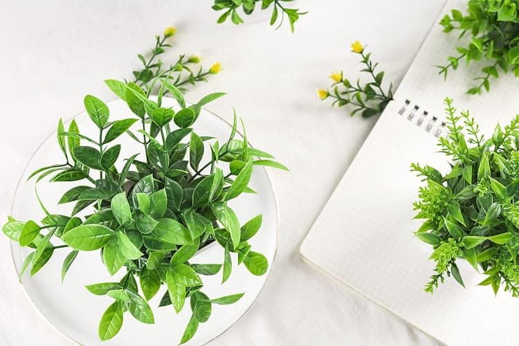 Der Rose 4 Pack Fake Plants, Greenery Potted Plants for Home Decor Indoor | Unique artificial plants, no-care potted greenery, for desk table windowsill bathroom office farmhouse and classroom decor thumbnail 2