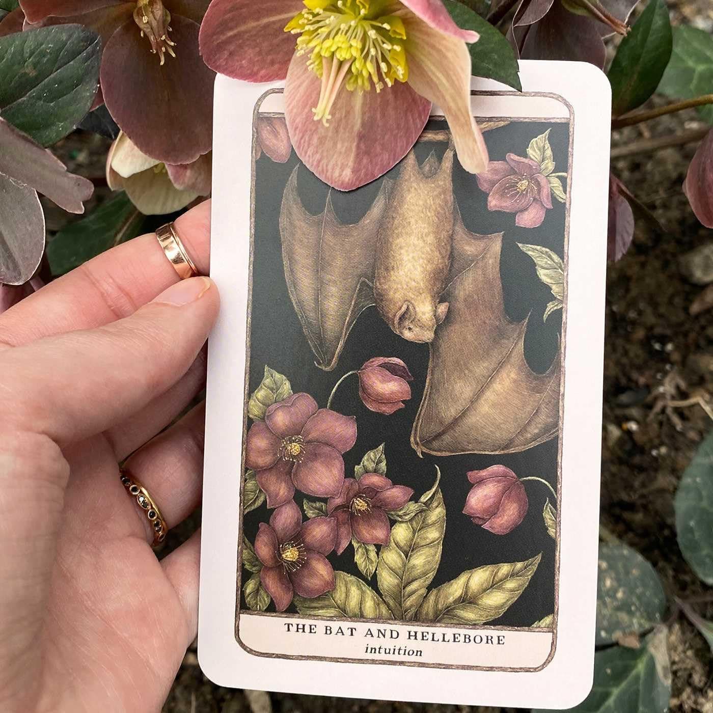 Woodland Wardens: 52-Card Oracle Deck & Guidebook thumbnail 10