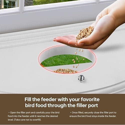 JOYSEUS Window Bird Feeder, 180° Clear View Bird Feeder, Durable and Elegant in-Window Bird Feeder for Watching Birds - Embrace The Delight of Bird Feeder. thumbnail 6