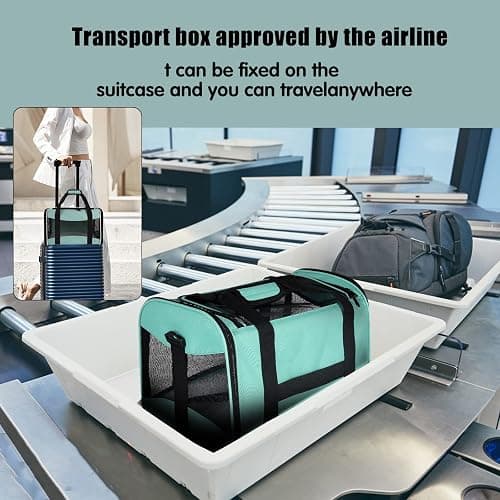 Cat Carrying Case Pet Dog Carrier Soft-Sided Cat Bag Airline Approved, Pet Travel Carrier Up to 15 Lbs, Collapsible Cats Carrier Dog Carrier for Medium Small Cats Dogs(17x11x11 Green) thumbnail 5