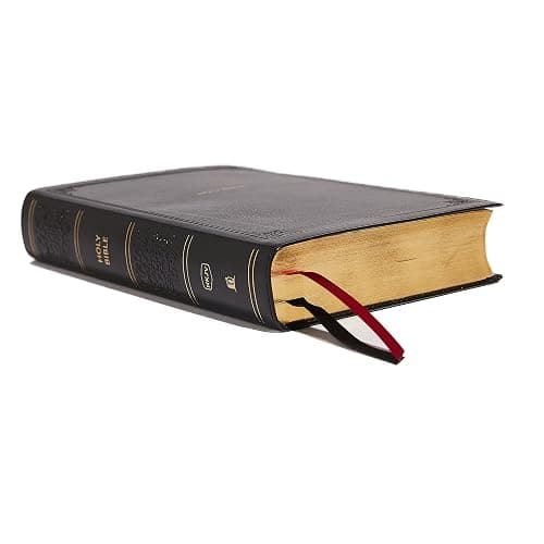 NKJV, End-of-Verse Reference Bible, Personal Size Large Print, Leathersoft, Black, Red Letter, Comfort Print: Holy Bible, New King James Version thumbnail 10