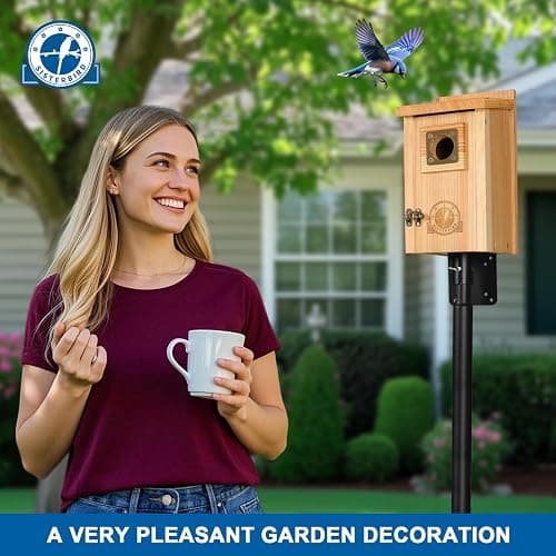 SISTERBIRD 2 Pack Bird Houses for Outside Clearance with Copper Guard, Cedar Bird House Outdoor, Bluebird Finch Swallow Wren Chickadee Assembly Required thumbnail 9