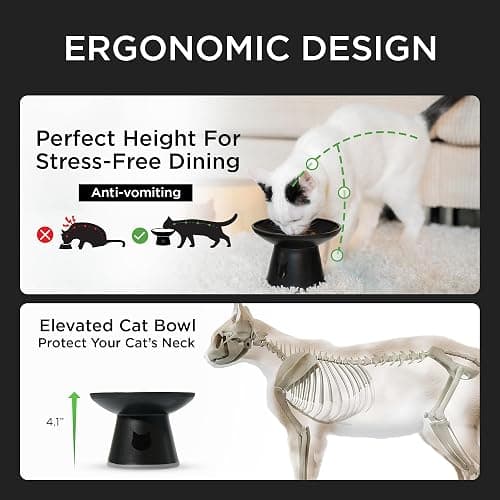 Necoichi BPA-Free Extra-Wide Elevated Cat Food Bowls, 2-Pack (Urban Fog) thumbnail 3
