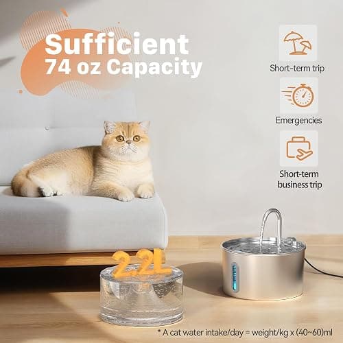 Cat Water Fountain Stainless Steel: 74oz/2.2L Cat Fountain for Drinking - Pet Water Fountain for Cats Inside - Automatic Dog Water Dispenser Bowl Feeding & Watering Supplies 6 Filters 3 Sponges thumbnail 2
