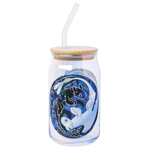 Silver Buffalo How to Train Your Dragon Ying and Yang Featuring Toothless and Light Fury Glass Jar Tumbler with Bamboo Lid and Glass Straw, 16 Ounces - Image 1