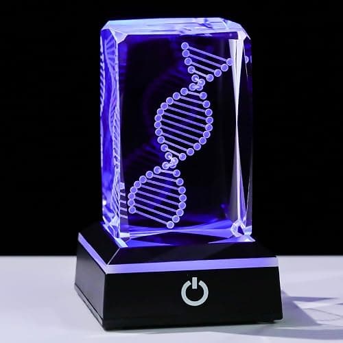 Movdyka 3D Crystal DNA Model with Color-Changing LED Base - Unique Science Gift for Teachers, Biology Lovers | Science Classroom Decor, Lab Decor & LED Art - Image 1