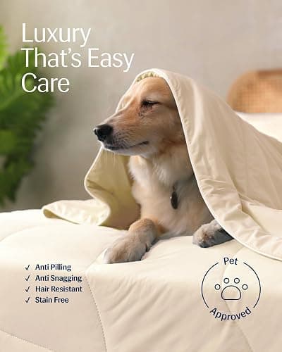 REST® Evercool® Cooling Comforter Blanket for Hot Sleepers, Twin/Twin XL | All-Season Bedding to Keep Cool, Reversible Cool-to-Touch Fabric for Night Sweats, Breathable, Lightweight, Machine Washable thumbnail 9
