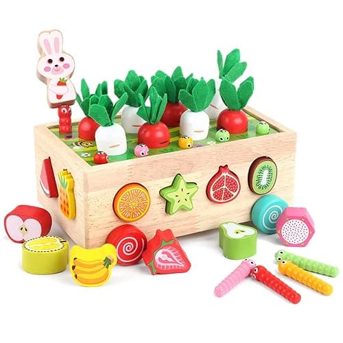 Toddlers Montessori Wooden Educational Toys for Baby Boys Girls Age 1 2 3 Year Old, Shape Sorting Toys 1st One First Birthday Girl Gifts for Kids 1-3, Wood Preschool Learning Fine Motor Skills Game - Wooden Toy1