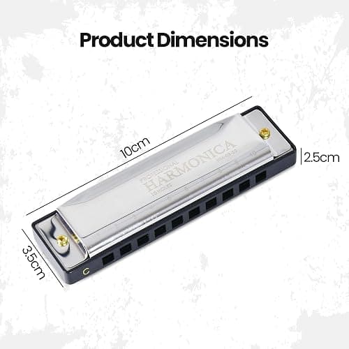 Albert Austin Harmonica Stainless Steel Adults Kids Harmonica for Beginners Students Professionals 10 Holes C Tuned Mouth Organ Musical Instrument for Folk Music Lovers Holiday Parties Birthdays - Image 1