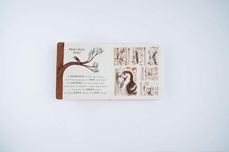 Slow Down… Discover Nature in the Park: Bring calm to Baby's world with 6 mindful nature moments thumbnail 8