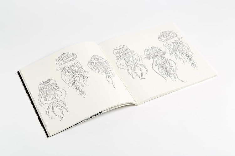 Lost Ocean: An Inky Adventure and Coloring Book for Adults thumbnail 2