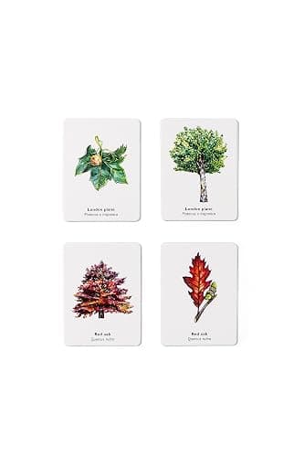 Match a Leaf: A Tree Memory Game thumbnail 5