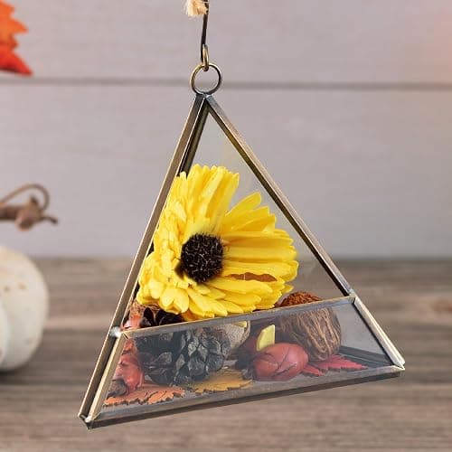 D'Eco Glass Mini Triangle Display (5x5x5) - Copper Tabletop or Hanging Planter Terrarium for Home Decor - Fill w/Succulents, Holiday Decorations, Mini Trees & Ornaments - Xmas Gift for Plant Lovers thumbnail 2