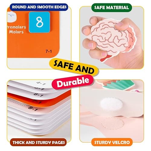 Freebear Montessori Busy Book for Kids, Human Body Anatomy Book for Toddlers, Preshool Kindergarten Learning Activities, Autism Sensory Toys, Travel Toys, Gifts for Girls and Boys 4 5 6 7 8 Years - Human structure 1 thumbnail 7