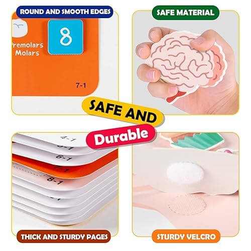 Freebear Montessori Busy Book for Kids, Human Body Anatomy Book for Toddlers, Preshool Kindergarten Learning Activities, Autism Sensory Toys, Travel Toys, Gifts for Girls and Boys 4 5 6 7 8 Years - Human structure 1 thumbnail 7