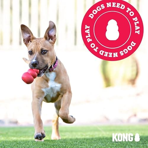 KONG Puppy Goodie Bone with Rope - Natural Rubber Bone with Cotton Rope - Teeth Cleaning Chew Toy for Growing Puppies - for XS Puppies - Pink thumbnail 7