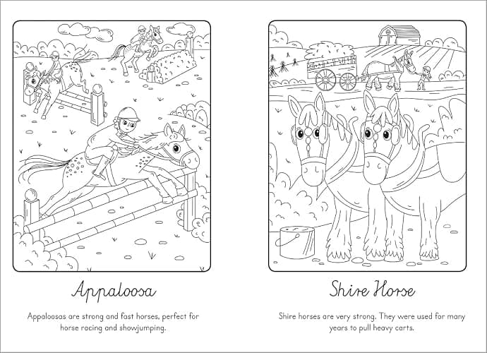 Manes and Tails - Horses and Unicorns (Paint with Water) thumbnail 3