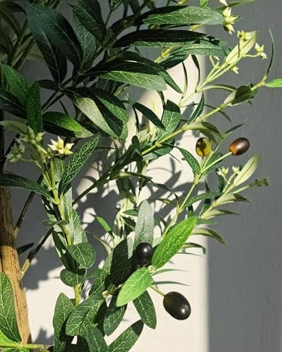 Caxchiling Faux Olive Tree 6FT, Artificial Potted Tree with Planter, Silk Plants Indoor Outdoor, Lifelike Olive Plants with Natural Wood Trunk, Fruits and Buds, Home Office Decor, 1 Pack thumbnail 2