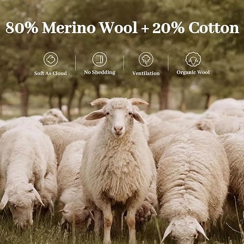 ANSSO Wool Rugs 8x10 for Living Room,80% Merino Wool and 20% Cotton Soft Tufted Area Rug with Cotton Non-Slip Backing,Large Area Rug for Bedroom Bedroom, Dining and Home Office (Cream White) thumbnail 5