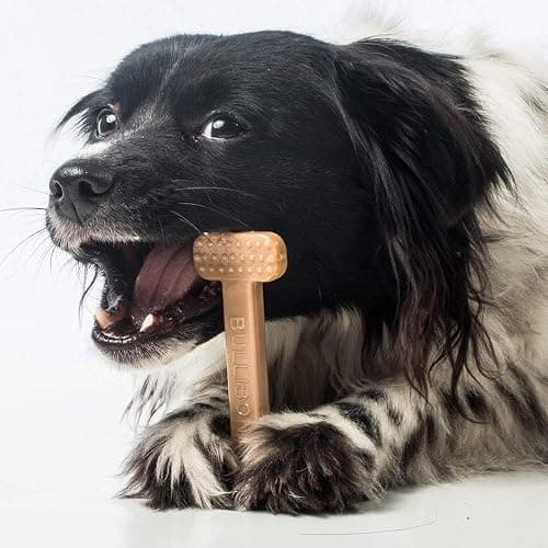 Bullibone Nylon Dog Chew Toy for Aggressive Chewers - Dental Hygiene Bone with Peanut Butter Flavor, Durable Tough Chew Toys for Small Dogs, Indestructible Dog Bone - 3 Pack thumbnail 9