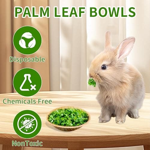 Jiaxix 30 Pcs Disposable Palm Leaf Bowls 4 inch Bowl for Rabbits, Compostable Like Bamboo Bowls Disposable Bowl Bunny Chew Toys Chewable Dish for Rabbits & Bunnies,Small Pets thumbnail 3