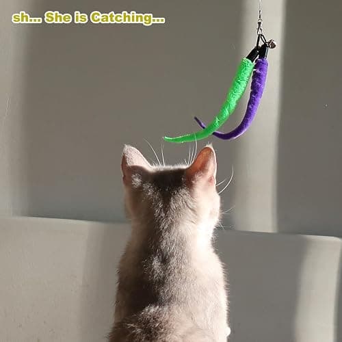 MeoHui Cat Toys for Indoor Cats, Interactive Cat Toy 2PCS Retractable Wand Toy and 9PCS Cat Feather Toys Refills, Funny Kitten Toys Cat Fishing Pole Toy for Bored Indoor Cats Chase and Exercise thumbnail 8