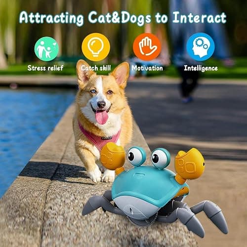 Dog Toys Escaping Crab Crawling Dog Toy with Music Control & Lights, Dancing Crab Dog Toy Obstacle Avoidance Interactive Fun Toys for Puppy/Small/Medium Dogs (Green) thumbnail 2