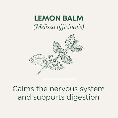 Traditional Medicinals - Organic Lemon Balm Herbal Tea (6 Pack) - Stress Relief & Supports Digestion - 96 Tea Bags Total thumbnail 3