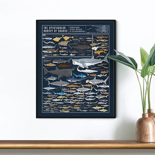 Pop Chart | Sharks Poster | 16" x 20" Art Poster | Illustrated Print of Shark Species | Sea Life and Marine Decor | 100% Designed and Made in the USA thumbnail 6