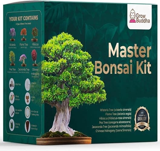 Master Bonsai Kit - Grow Buddha Bonsai Tree Growing Kit - Professional Growing and Styling Bonsai Set - Japanese Bonsai - Become Bonsai Master - Ideal Bonsai Tree Seed Kit for Indoor Garden Gardening - Image 1