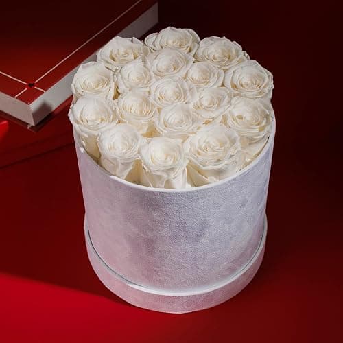 17 Flowers in a Luxury Suede Box, Birthday Gifts for Women, Preserved Flowers, Mothers Day Roses Gift for Mom, White - White - 17 Roses thumbnail 6