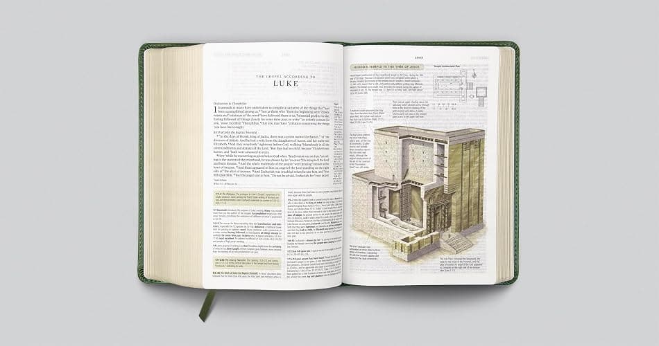 ESV Study Bible, Personal Size (TruTone, Quiet Forest, Ornament Design): Holy Bible, English Standard Version thumbnail 5