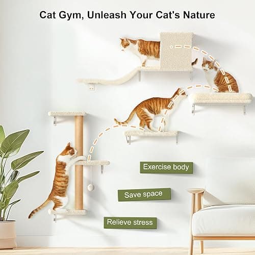 FUKUMARU Cat Wall Shelves, Stable & Safe 4 in 1 Large Cat Walls Furniture Set, Wooden Kitten Climbing Wall with Scratching Post for 16 Inch Drywall - Beige thumbnail 3