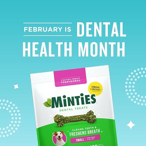 Minties Dog Dental Bone Treats, Tiny/Small Dental Dog Treats, 16 Ounces, Cleans Teeth, Fight Bad Breath, Removes Plaque and Tartar, 40 Count thumbnail 2