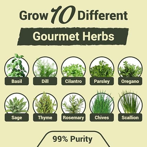 10 Herb Garden Planter Indoor Kit, 44pcs Complete Kitchen Herb Starter Set Including Burlap Pots, Markers, Soil Discs, Gardening Tools, Unique Easter/Birthday/Christmas Gift Ideas for Women, Mom thumbnail 3