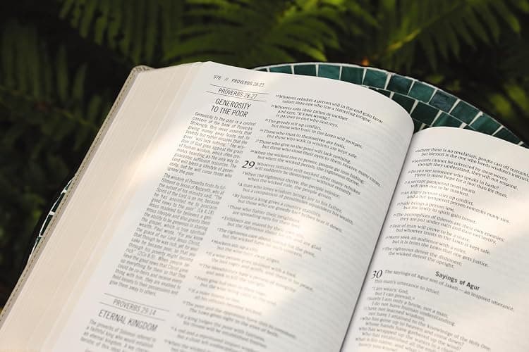 The Jesus Bible, NIV Edition, Leathersoft, Stone, Comfort Print thumbnail 7