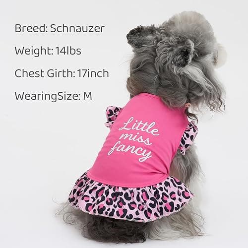 XPUDAC 4 Pack Cute Dog Dress for Small Dog, Floral Puppy Dress Sweet Girl Pet Skirt Outfits Colorful for Birthday Holiday Spring Summer Pet Clothes for Girls, M thumbnail 2