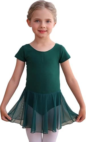 MdnMd Toddler Ballet Leotards for Girls Dance Leotards with Skirt Gymnastic Ballerina Outfit Dress Classic Short Sleeve - Image 1