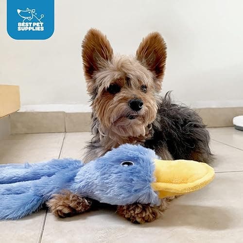Best Pet Supplies Crinkle Dog Toy for Small, Medium, and Large Breeds, Cute No Stuffing Duck with Soft Squeaker, Fun for Indoor Puppies and Senior Pups, Plush No Mess Chew and Play - Blue - Blue - Large thumbnail 5