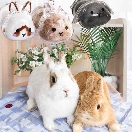 CUTENNIOU Rabbit Fur Keepsake Cute Rabbit Hair Keychain, Transparent Pet Fur Memorial Keepsake Collector, Bunny Lover Collecting Gift thumbnail 7