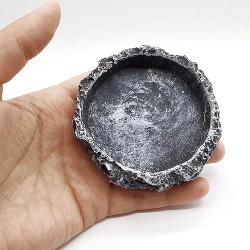 Fulanfudi 2PCS Reptile Water Dish Food Bowl Set Reptile Feeder Food and Water Dish with Feeding Tweezers Tong for Leopard Gecko Lizard Frog Snake Chameleon Tortoise(Style 1) - style 1 thumbnail 4