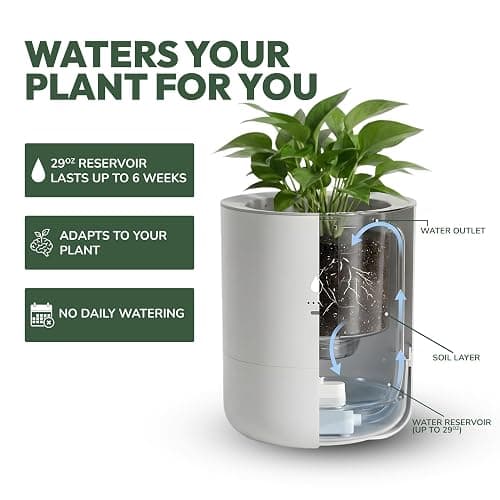 LeafyPod 8 Inch Smart Self Watering Planter with WiFi Bridge & App Control – AI Plant Care System with Sensors, Automatic Watering, Alerts – Modern Indoor Planter for Houseplants | Cordless thumbnail 4