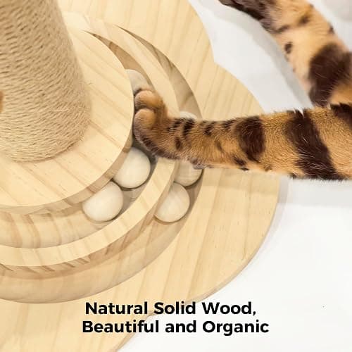 TINYBEAST Wooden Cat Scratching Post fot Kittens, 4 in 1 Cat Scratcher Toy with Cat Ball Tracks, 18" Tall Sisal Scratch Post for Indoor Kittens, Interactive Feather Toy and 2 Sisal Hanging Balls thumbnail 3